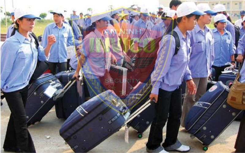 Theo số liệu của Bộ Lao động-Thương binh và Xã hội, trong 11 tháng năm 2024, tổng số lao động Việt Nam đi làm việc ở nước ngoài là 143.160 lao động