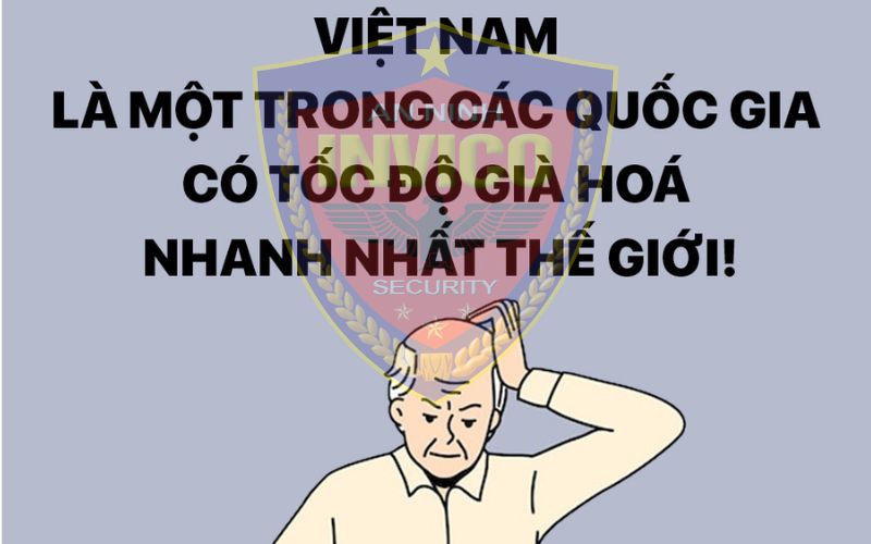 Theo Tổng cục Thống kê dự báo, Việt Nam sẽ bước vào thời kỳ dân số già, kéo dài trong 28 năm (2026-2054)
